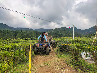 Fun Offroad Adventure Track Puncak Bogor