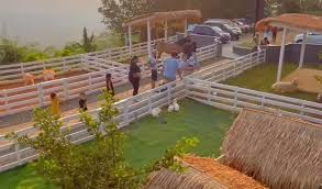 Wooly Cafe & Resto Sentul