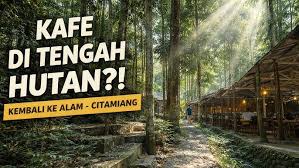 Kembali Ke Alam Citamiang