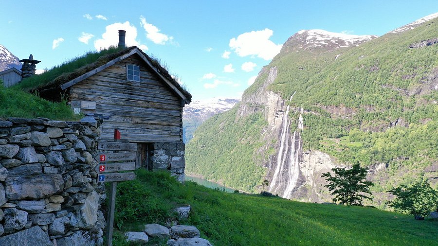 Skageflå
