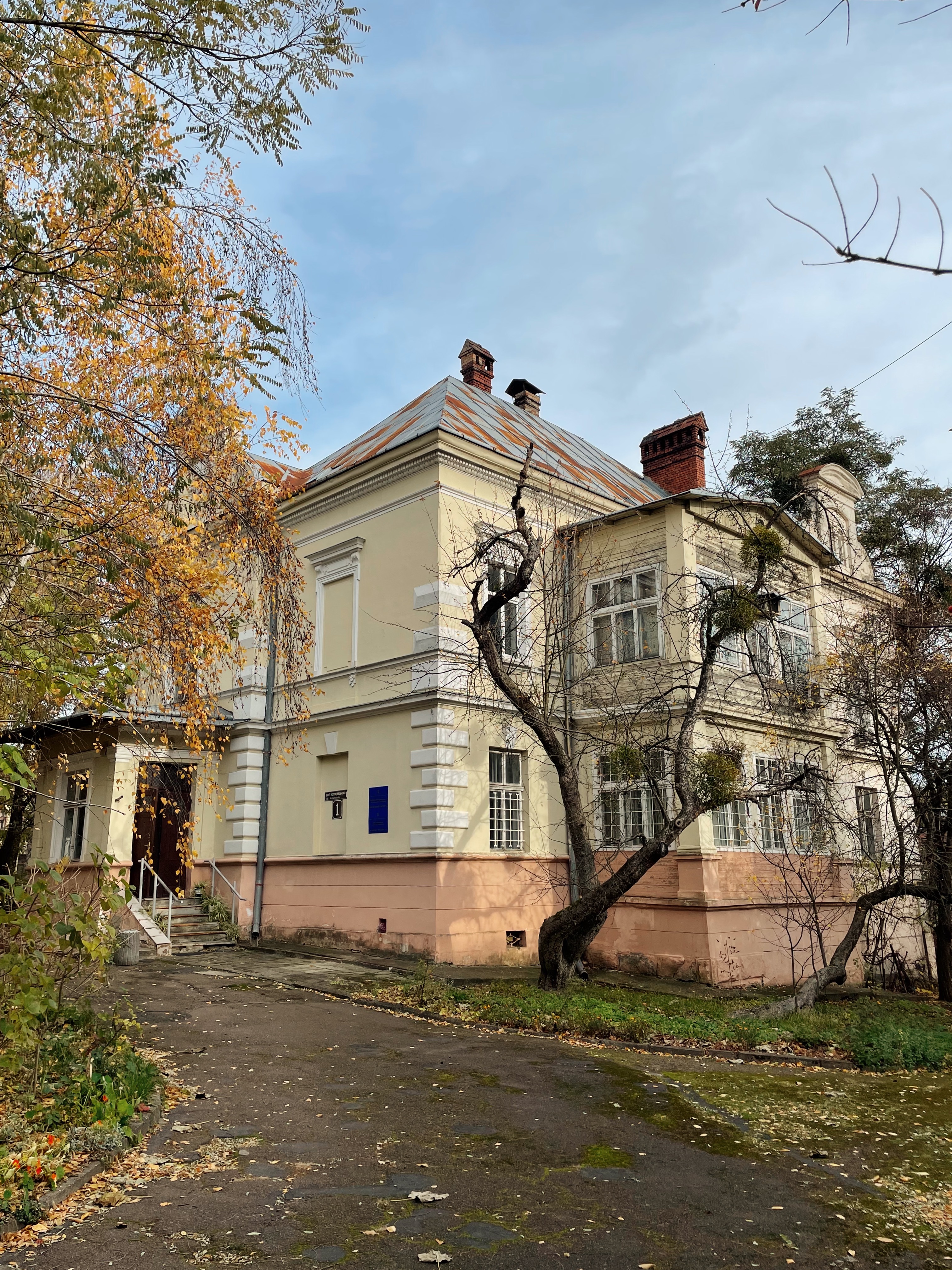 📍Вілла Брикчинського 